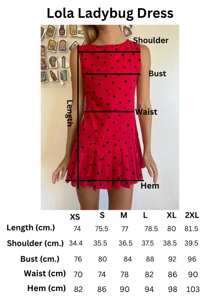 Lola Ladybug Dress